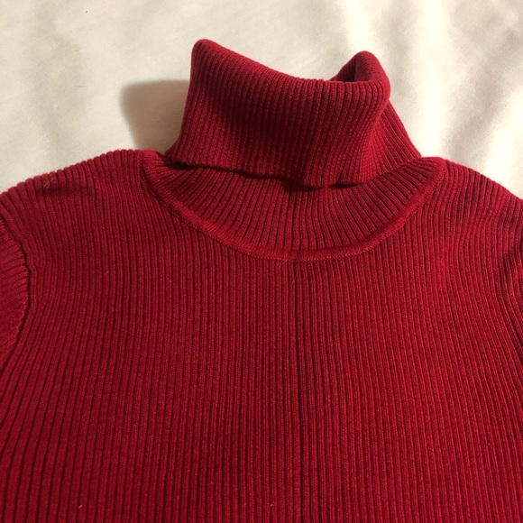 Northern Reflections Turtleneck - Picture 5 of 13